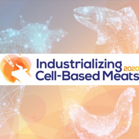 2nd Annual Industrializing Cell-Based Meats Summit 2020 