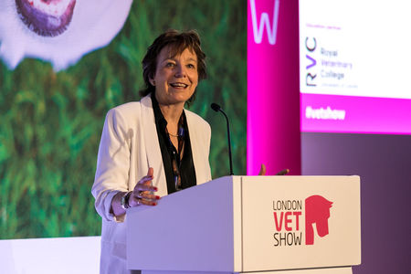 The London Vet Show 2020 - Europe's largest veterinary event