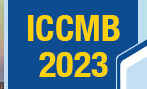 2023 6th International Conference on Computers in Management and Business (ICCMB 2023)