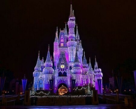 Primary Care CME at Walt Disney World Orlando, January 2024