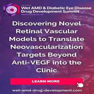 4th Wet AMD and Diabetic Eye Disease Drug Development