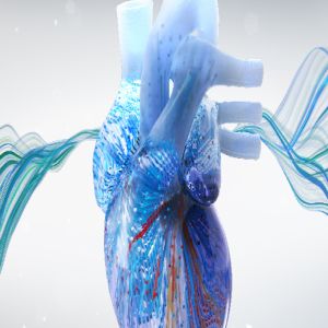 Webinar: Electrophysiology Board Review Insights: Ventricular Arrhythmias Virtual Town Hall