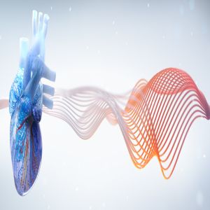 Mayo Clinic Echocardiography Comprehensive Review Course for Boards and Clinical Practice