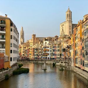 53rd ECTS Congress 2026