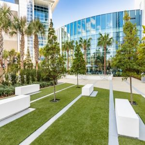 5th Annual Innovations in Management of Pancreatic Conditions and Therapies