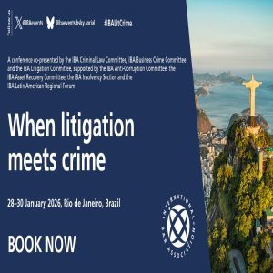 When litigation meets crime