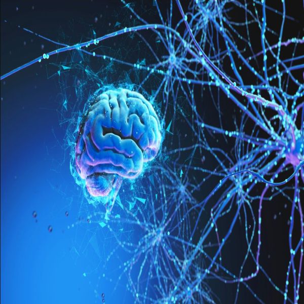 Mayo Clinic Stimulation Therapies for Epilepsy 2026