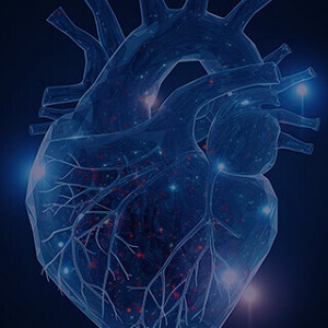 Structural Heart Intervention and Imaging CME Symposium - La Jolla, CA