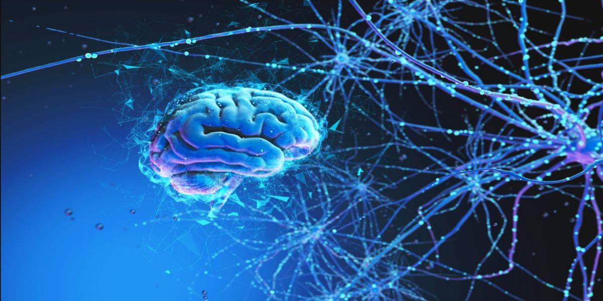 Mayo Clinic Stimulation Therapies for Epilepsy 2026