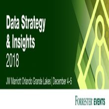 Data Strategy and Insights 