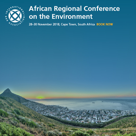 African Regional Conf. on the Environment