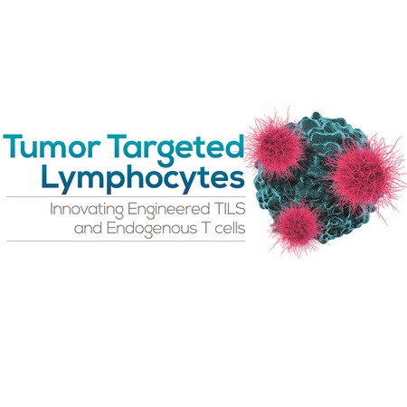 Tumor Targeted Lymphocyte Summit 