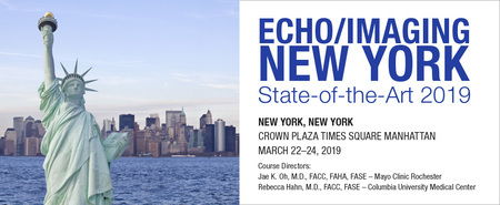 Echo/Imaging New York: State-of-the-Art 2019