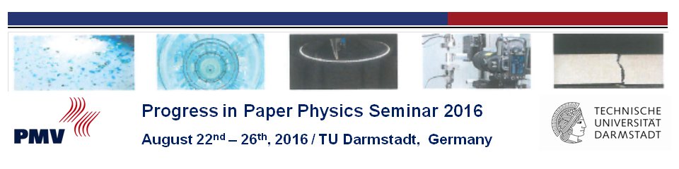 Progress in Paper Physics Seminar 2016