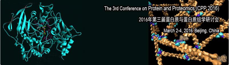 3rd Conference on Protein and Proteomics
