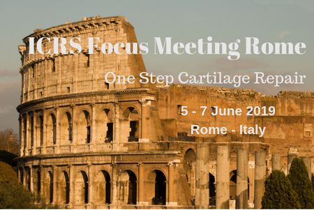 ICRS Focus Meeting Rome - One Step cartilage Repair