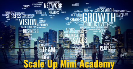 Scale Up MINI Academy - from Product to Growth