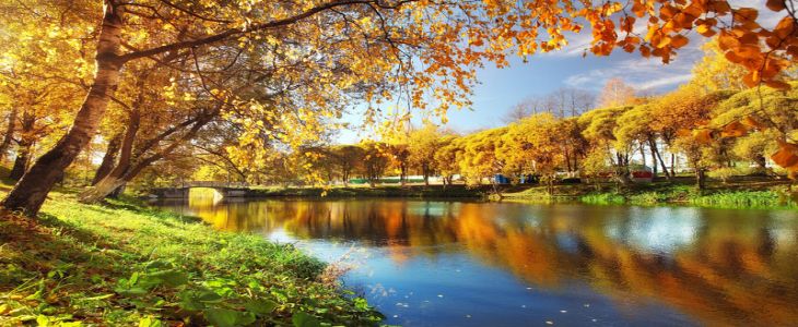 Mayo Clinic Transforming Community and Rural Healthcare 2025: Bold Innovation and Partnerships