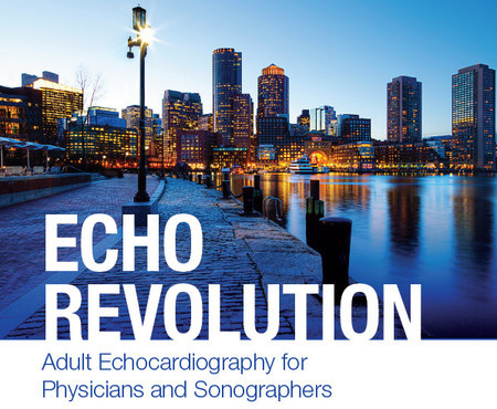 Echo Revolution: Adult Echocardiography for Physicians and Sonographers
