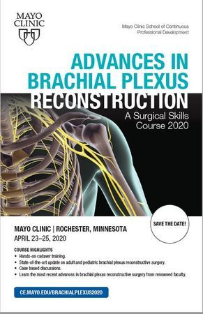 Advances in Brachial Plexus Reconstruction - A Surgical Skills Course 2020