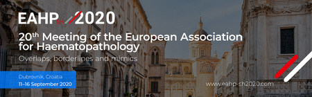 20th Meeting of the European Association for Haematopathology