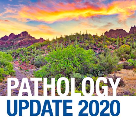 Mayo Clinic Pathology Update 2020