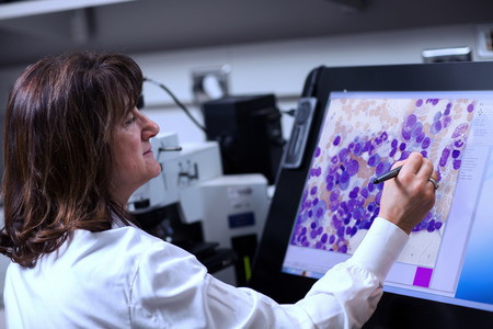 Mayo Clinic Myeloma and Related Disorders - Online Course