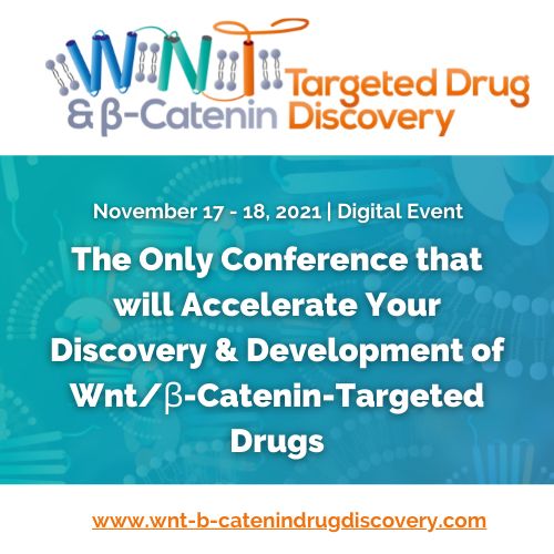 Wnt & B-Catenin Targeted Drug Discovery Summit